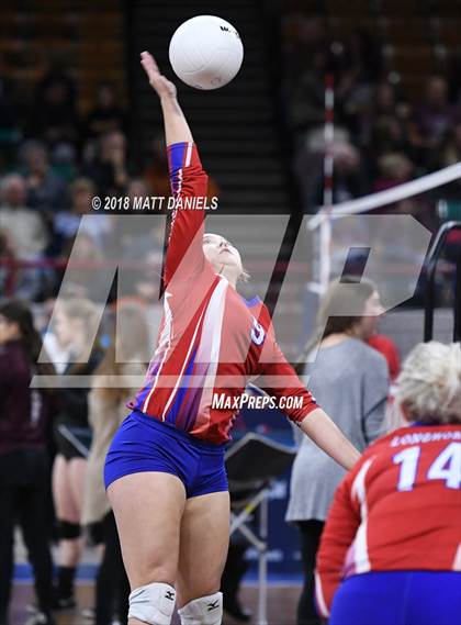 Thumbnail 3 in Springfield vs. Haxtun (CHSAA 1A First Round) photogallery.