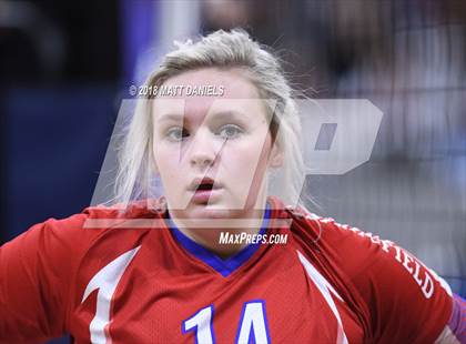 Thumbnail 2 in Springfield vs. Haxtun (CHSAA 1A First Round) photogallery.