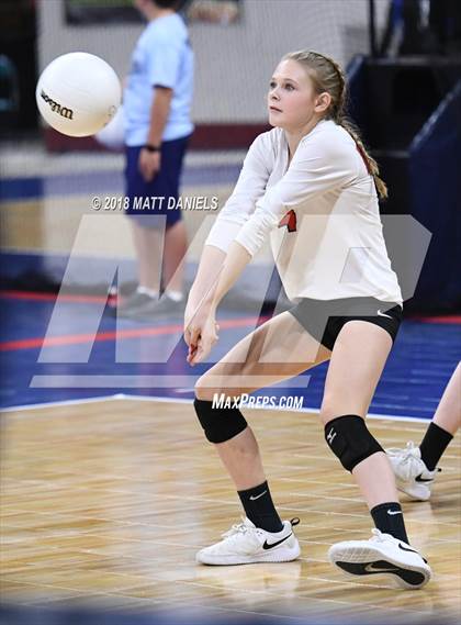 Thumbnail 2 in Springfield vs. Haxtun (CHSAA 1A First Round) photogallery.