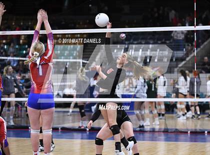 Thumbnail 3 in Springfield vs. Haxtun (CHSAA 1A First Round) photogallery.