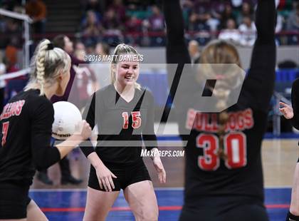 Thumbnail 1 in Springfield vs. Haxtun (CHSAA 1A First Round) photogallery.