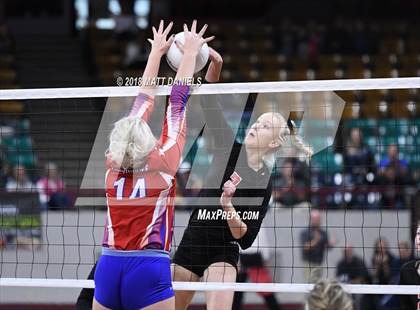 Thumbnail 3 in Springfield vs. Haxtun (CHSAA 1A First Round) photogallery.
