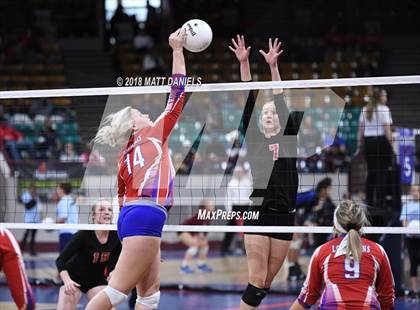 Thumbnail 3 in Springfield vs. Haxtun (CHSAA 1A First Round) photogallery.