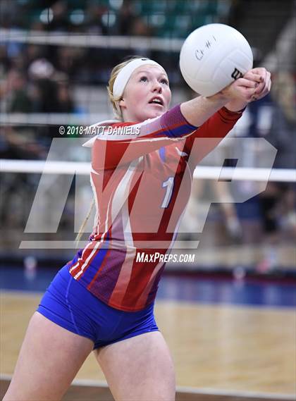 Thumbnail 2 in Springfield vs. Haxtun (CHSAA 1A First Round) photogallery.