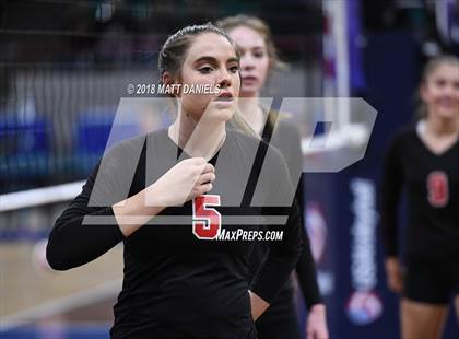 Thumbnail 2 in Springfield vs. Haxtun (CHSAA 1A First Round) photogallery.