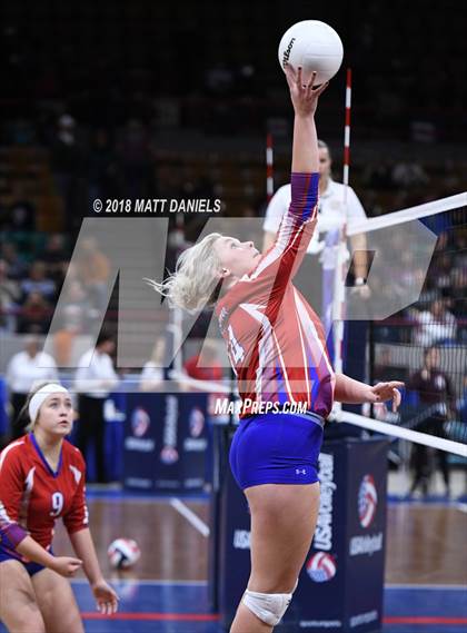Thumbnail 2 in Springfield vs. Haxtun (CHSAA 1A First Round) photogallery.