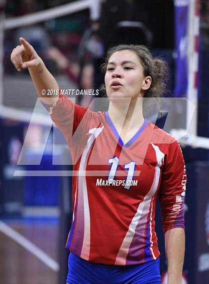 Thumbnail 3 in Springfield vs. Haxtun (CHSAA 1A First Round) photogallery.