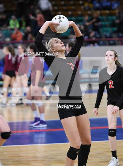 Thumbnail 1 in Springfield vs. Haxtun (CHSAA 1A First Round) photogallery.
