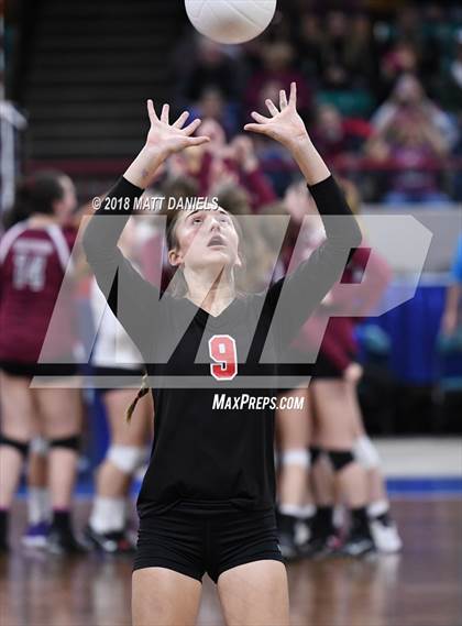 Thumbnail 2 in Springfield vs. Haxtun (CHSAA 1A First Round) photogallery.