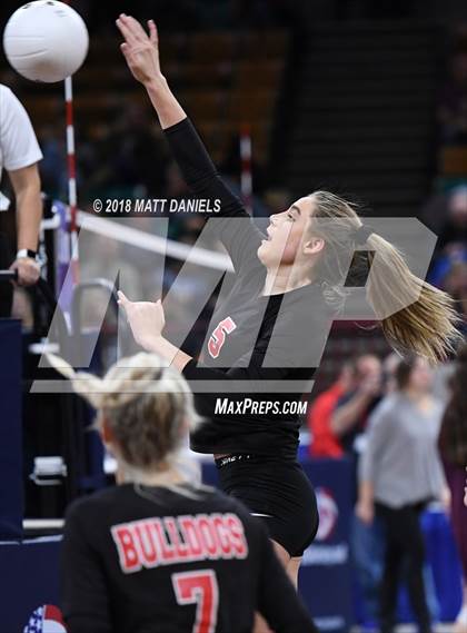 Thumbnail 1 in Springfield vs. Haxtun (CHSAA 1A First Round) photogallery.