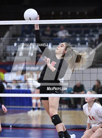 Thumbnail 1 in Springfield vs. Haxtun (CHSAA 1A First Round) photogallery.