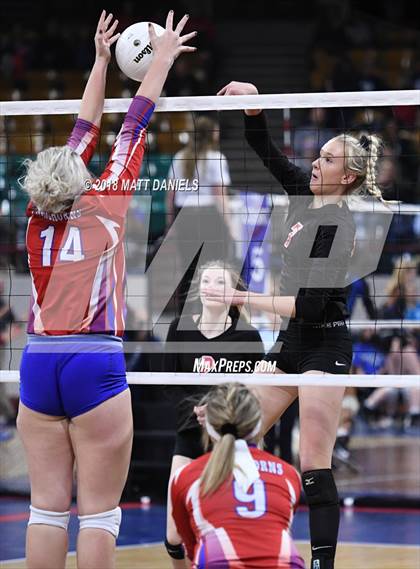Thumbnail 2 in Springfield vs. Haxtun (CHSAA 1A First Round) photogallery.