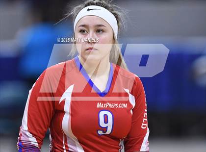 Thumbnail 1 in Springfield vs. Haxtun (CHSAA 1A First Round) photogallery.