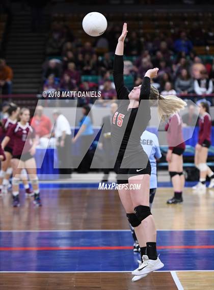 Thumbnail 2 in Springfield vs. Haxtun (CHSAA 1A First Round) photogallery.