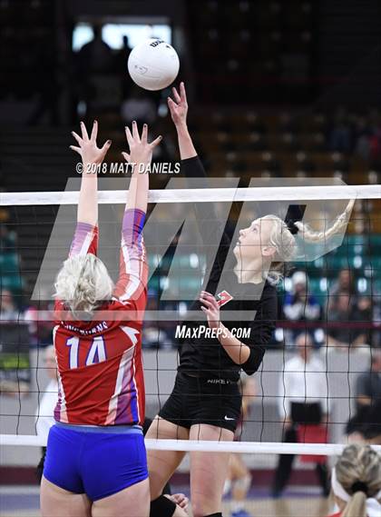 Thumbnail 2 in Springfield vs. Haxtun (CHSAA 1A First Round) photogallery.