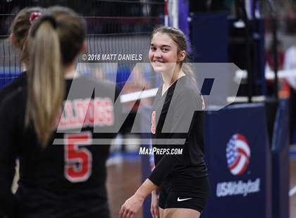 Thumbnail 1 in Springfield vs. Haxtun (CHSAA 1A First Round) photogallery.