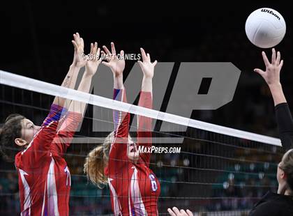 Thumbnail 3 in Springfield vs. Haxtun (CHSAA 1A First Round) photogallery.