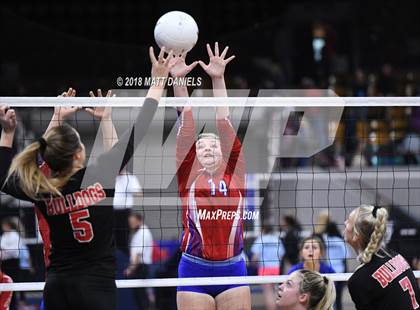 Thumbnail 1 in Springfield vs. Haxtun (CHSAA 1A First Round) photogallery.