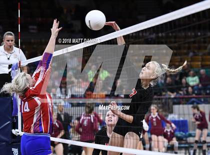 Thumbnail 2 in Springfield vs. Haxtun (CHSAA 1A First Round) photogallery.