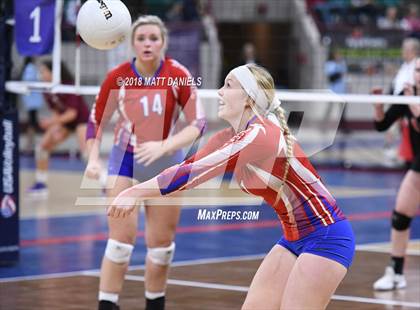 Thumbnail 3 in Springfield vs. Haxtun (CHSAA 1A First Round) photogallery.