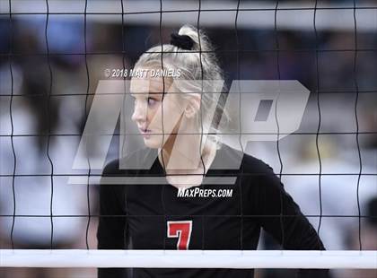 Thumbnail 3 in Springfield vs. Haxtun (CHSAA 1A First Round) photogallery.