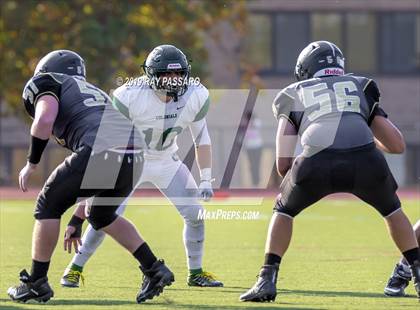 Thumbnail 3 in William Floyd @ Commack photogallery.