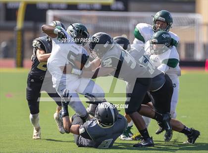 Thumbnail 1 in William Floyd @ Commack photogallery.