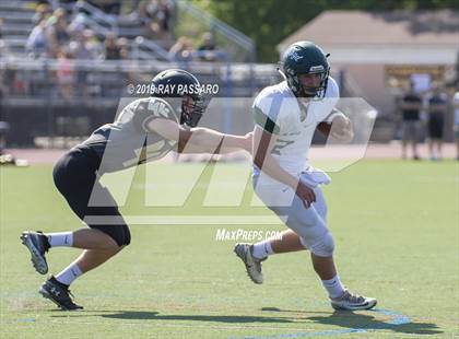Thumbnail 1 in William Floyd @ Commack photogallery.