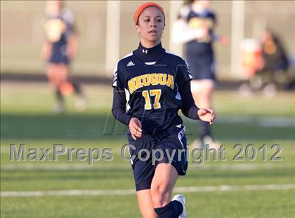Thumbnail 2 in Neuqua Valley @ Metea Valley photogallery.
