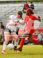 Photo from the gallery "Gray's Creek @ Seventy-First"