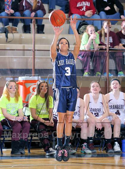 Thumbnail 2 in Brookville vs Cranberry Area (District IX AA Semifinal) photogallery.