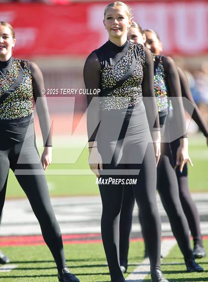 Thumbnail 1 in San Juan Royals photogallery.