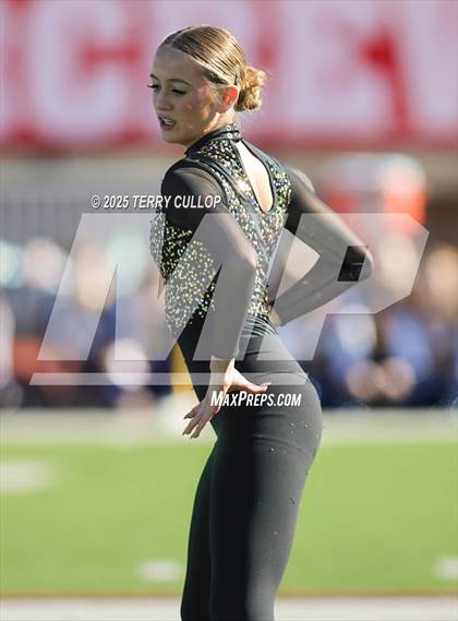 Thumbnail 1 in San Juan Royals photogallery.