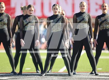 Thumbnail 1 in San Juan Royals photogallery.