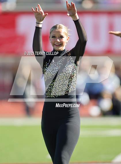 Thumbnail 1 in San Juan Royals photogallery.