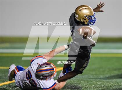 Thumbnail 2 in Bolles @ Mainland photogallery.