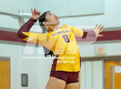 Thumbnail 1 in Dimond vs Canyon (Volleypalooza) photogallery.