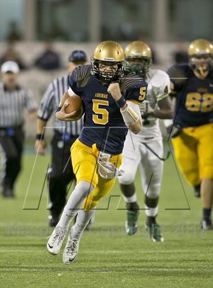 Thumbnail 1 in Lincoln vs. St. Thomas Aquinas (FHSAA 7A Final) photogallery.