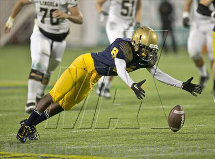 Thumbnail 2 in Lincoln vs. St. Thomas Aquinas (FHSAA 7A Final) photogallery.