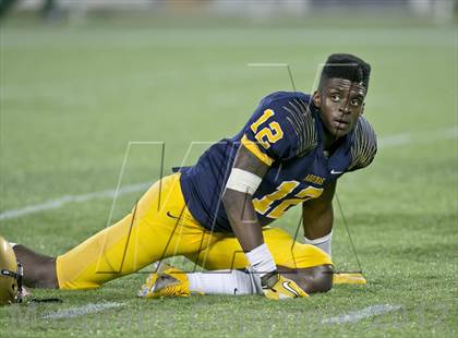 Thumbnail 3 in Lincoln vs. St. Thomas Aquinas (FHSAA 7A Final) photogallery.