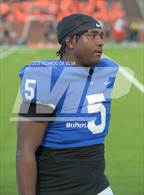 Photo from the gallery "Fort Bend Bush @ Katy Taylor"