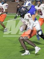 Photo from the gallery "Fort Bend Bush @ Katy Taylor"