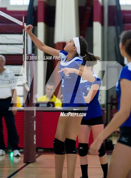 Thumbnail 2 in JV: Valley Central @ Kingston photogallery.