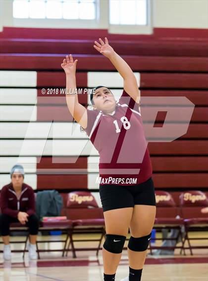 Thumbnail 3 in JV: Valley Central @ Kingston photogallery.