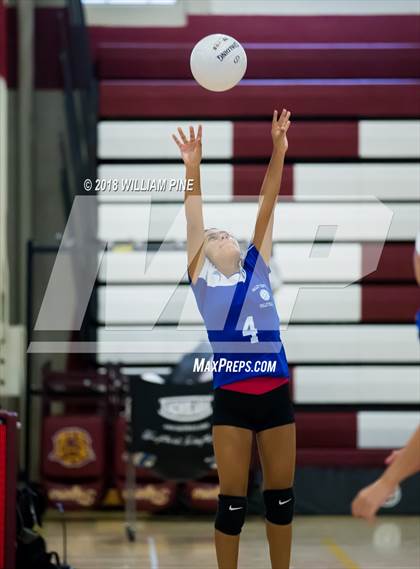 Thumbnail 3 in JV: Valley Central @ Kingston photogallery.