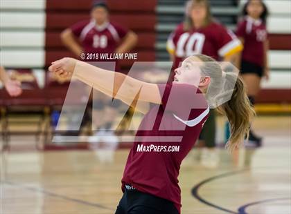 Thumbnail 3 in JV: Valley Central @ Kingston photogallery.