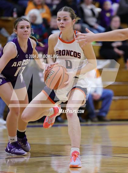 Thumbnail 3 in Arcola @ Cerro Gordo/Bement photogallery.