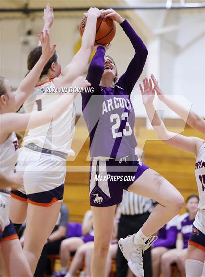 Thumbnail 3 in Arcola @ Cerro Gordo/Bement photogallery.