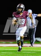 Photo from the gallery "Perry @ Hamilton"