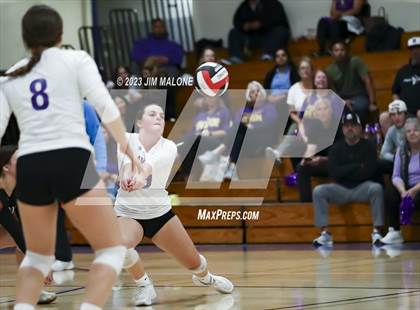 Thumbnail 1 in Amador Valley @ Foothill (CIFNCS D1 Semifinals) photogallery.